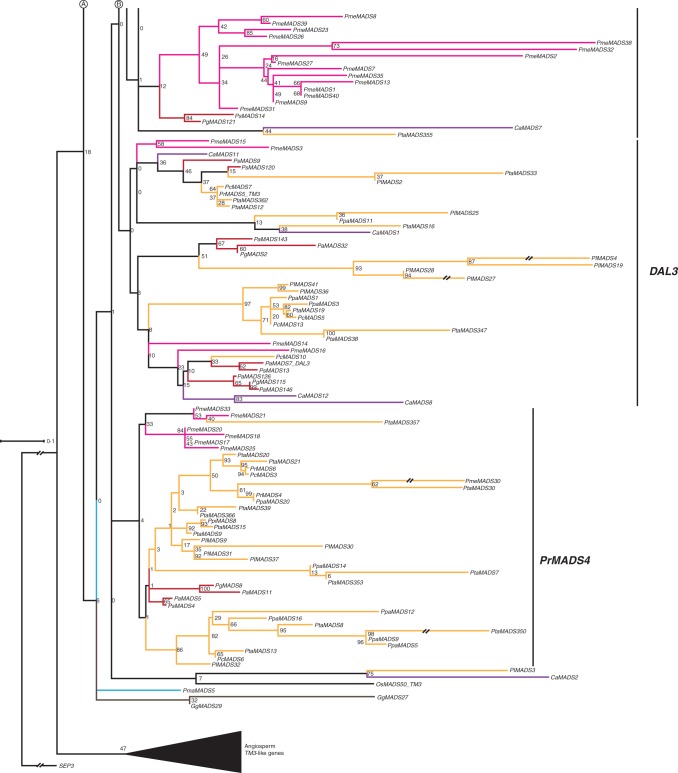 Fig. 12.