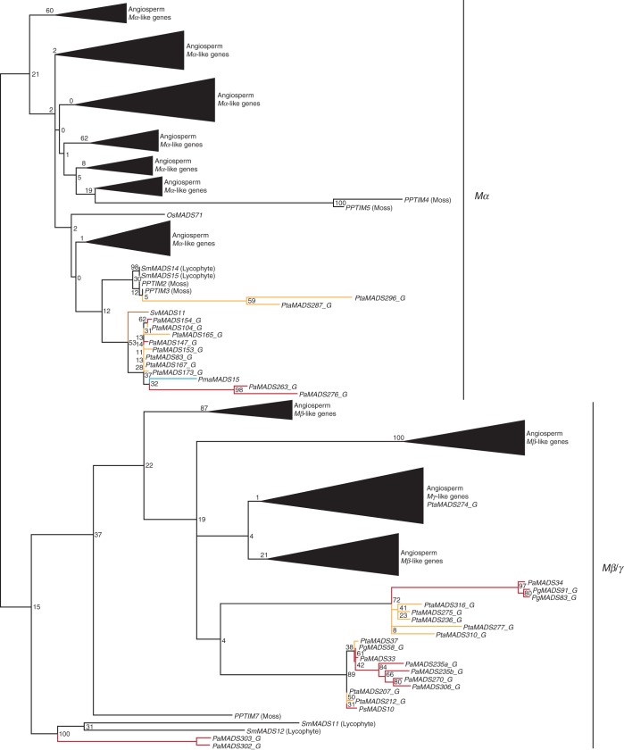 Fig. 2.