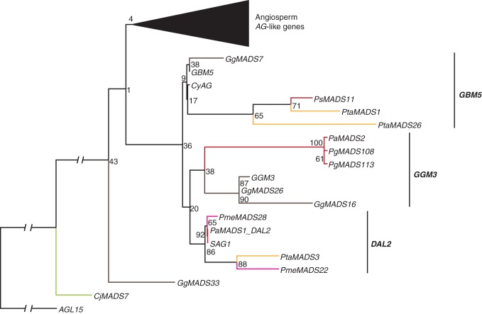 Fig. 6.