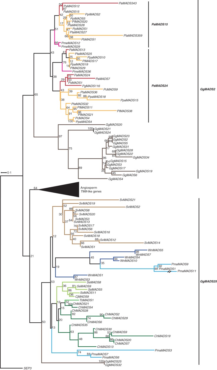 Fig. 13.