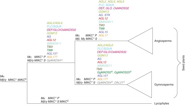 Fig. 14.