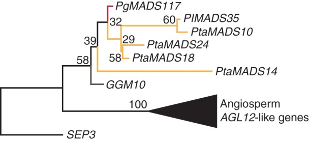 Fig. 7.