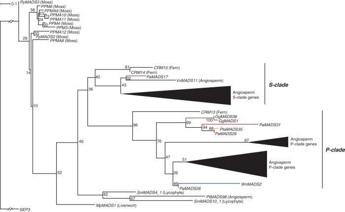 Fig. 3.