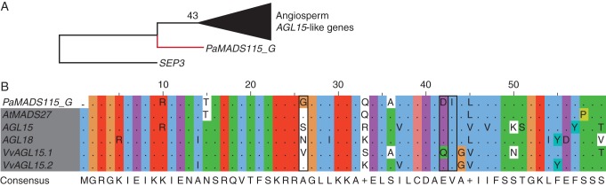 Fig. 8.