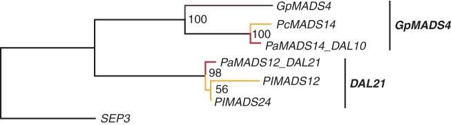 Fig. 10.