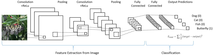 Fig. 12