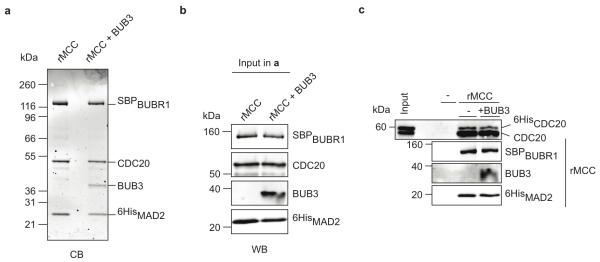 Extended data Figure 2