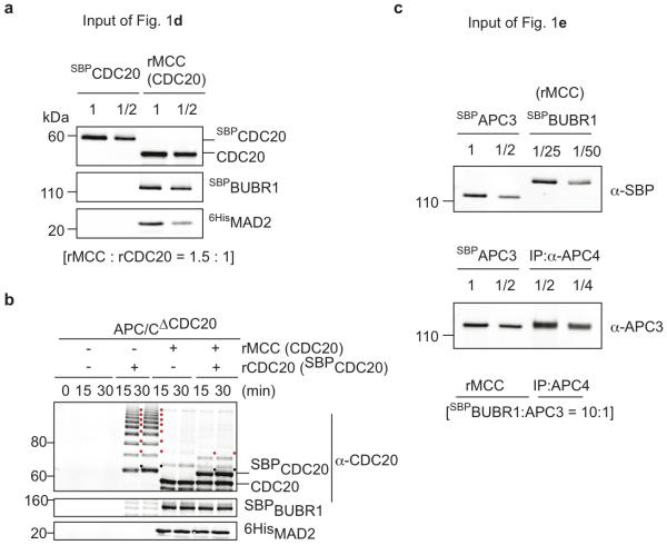 Extended data Figure 3