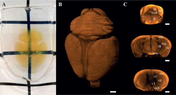 Fig. 3