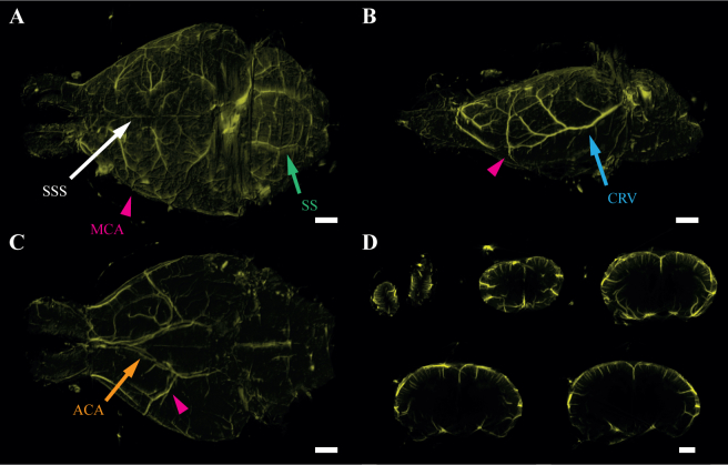 Fig. 4