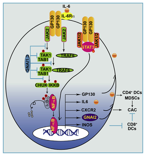 graphic file with name nihms-1035122-f0001.jpg