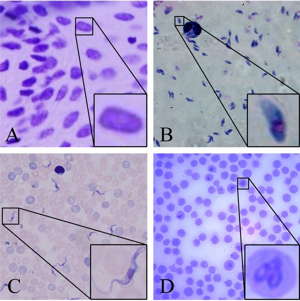 FIG 1