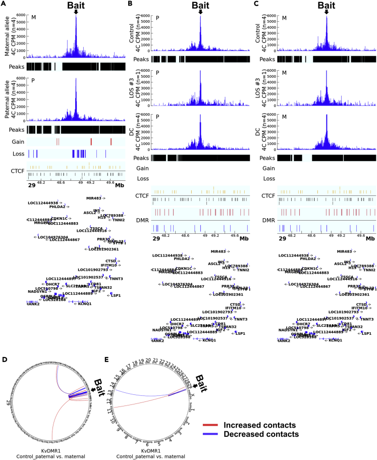 Figure 4