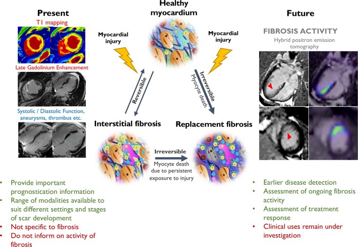 Graphical Abstract