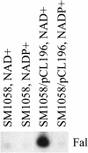 Figure 5.