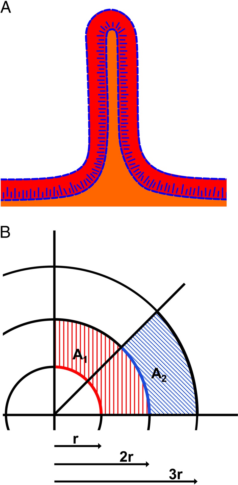 Fig 9