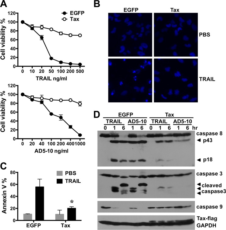 FIG 2