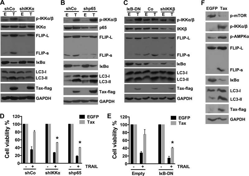 FIG 6