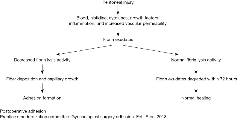 Chinese Expert Consensus On The Prevention Of Abdominal Pelvic