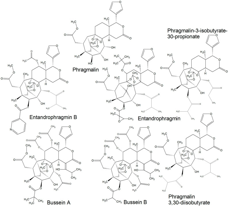 Figure 12