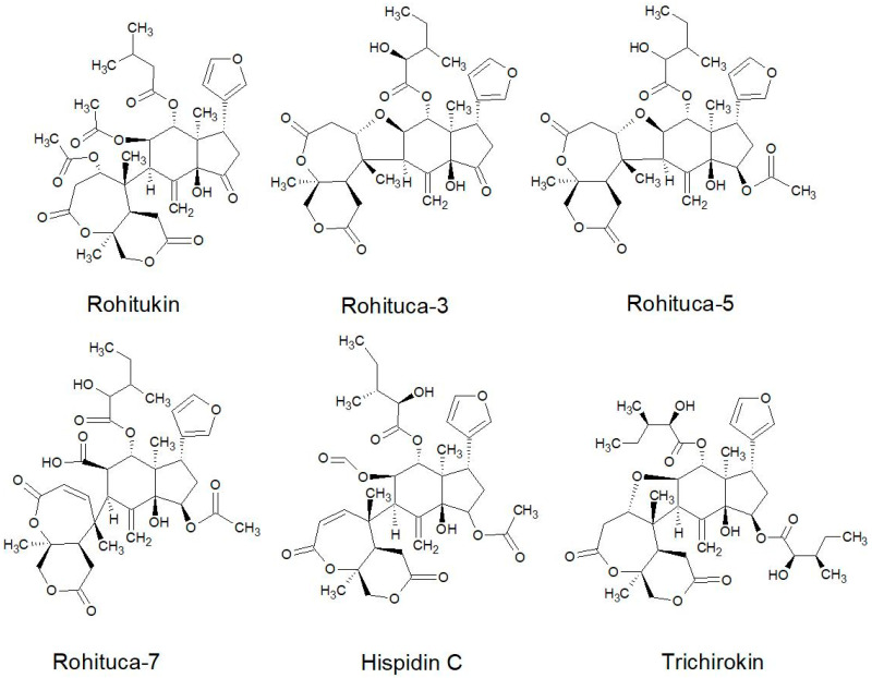 Figure 13