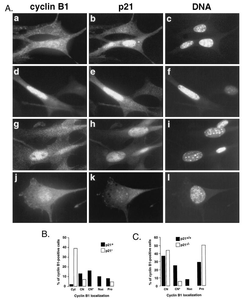 FIG. 6