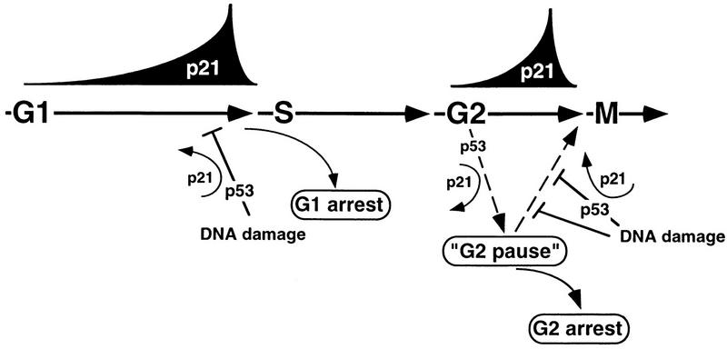 FIG. 8