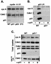 FIG. 7