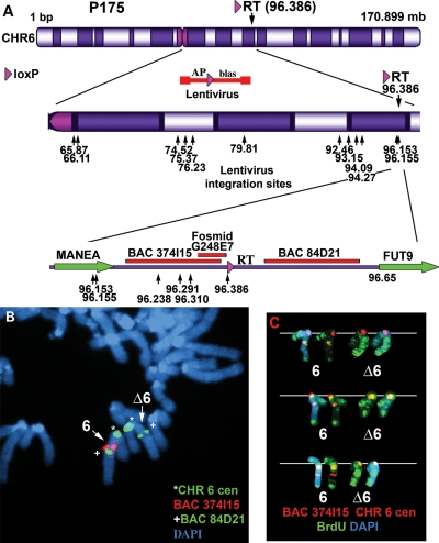 Figure 2.