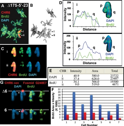 Figure 3.