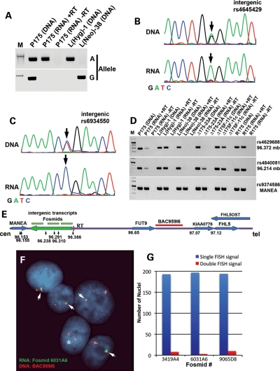 Figure 4.