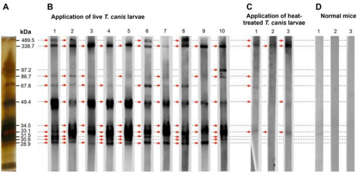 Fig. 5: