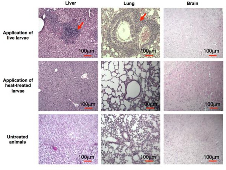 Fig. 3: