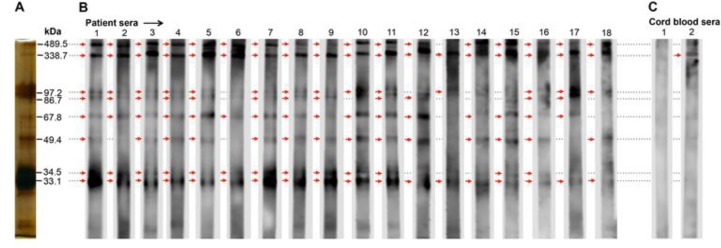 Fig. 9: