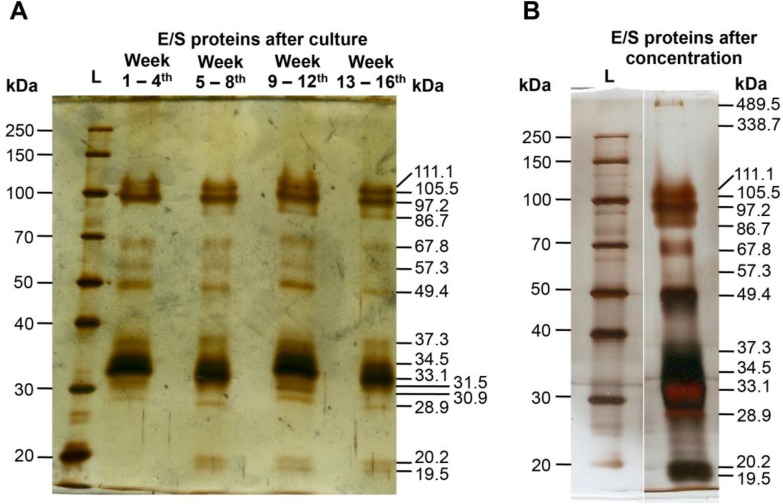 Fig. 1: