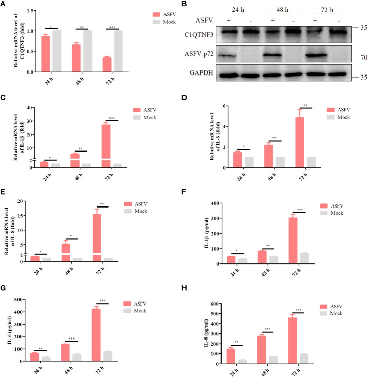 Figure 4