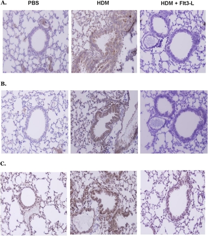 Figure 10.