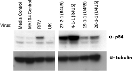 FIG. 4.