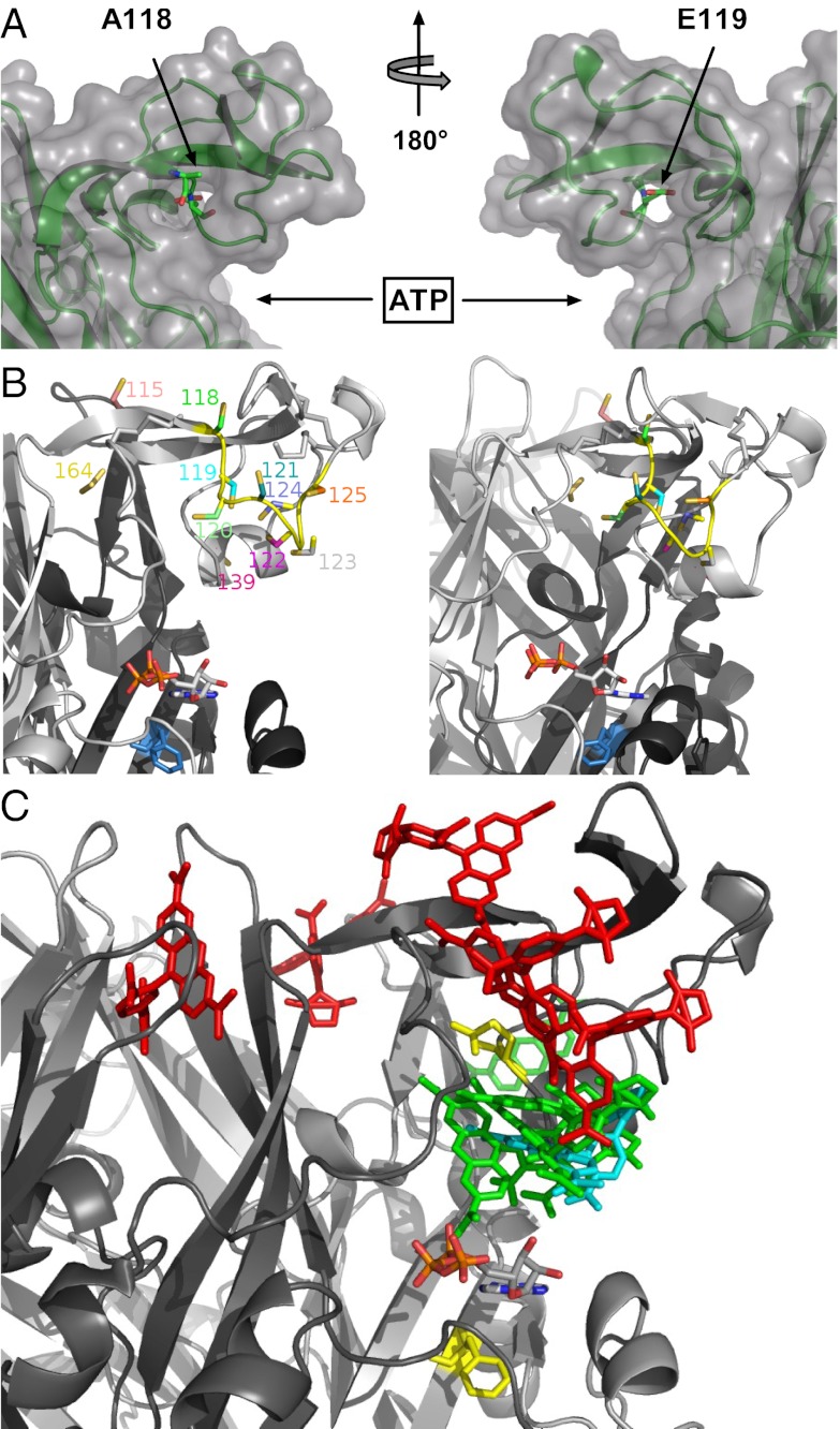 Fig. 3.