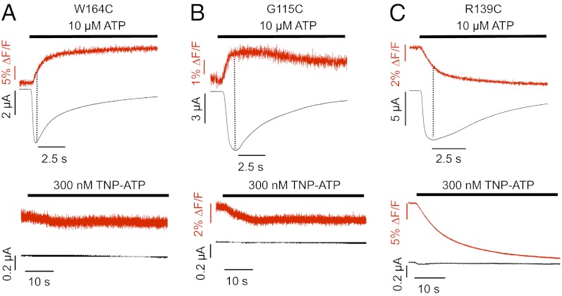 Fig. 4.