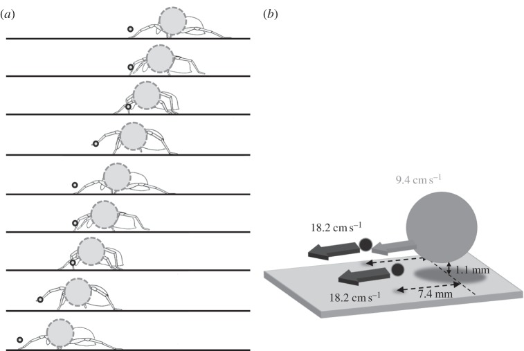 Figure 1.