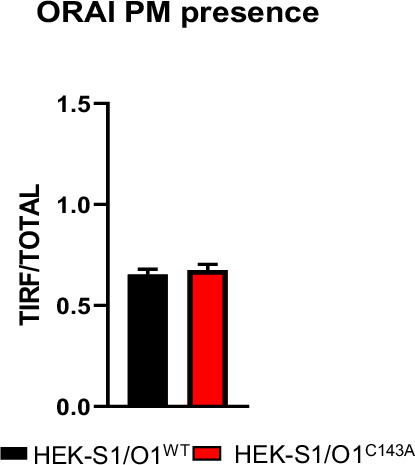 Figure 3—figure supplement 1.