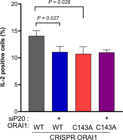 Figure 5—figure supplement 7.