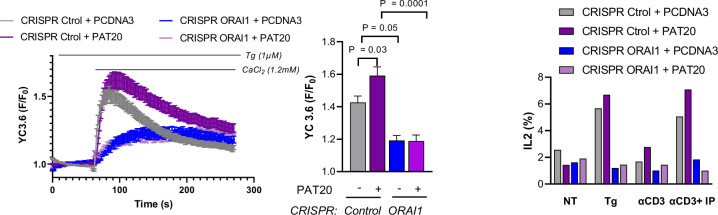 Figure 5—figure supplement 5.