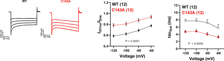 Figure 2—figure supplement 2.