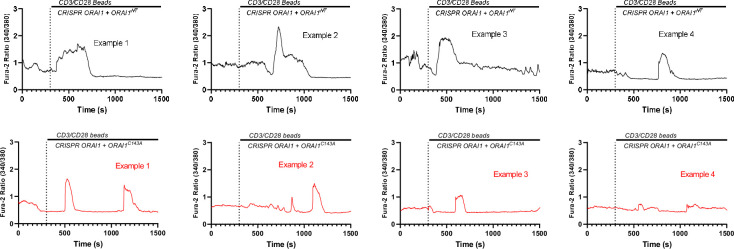 Figure 5—figure supplement 3.