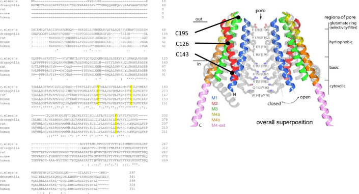 Figure 1—figure supplement 1.