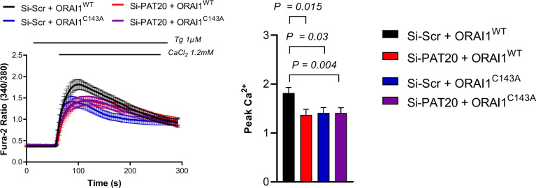 Figure 4—figure supplement 2.