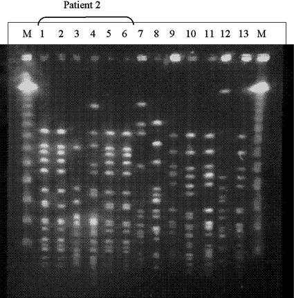 FIG. 1.