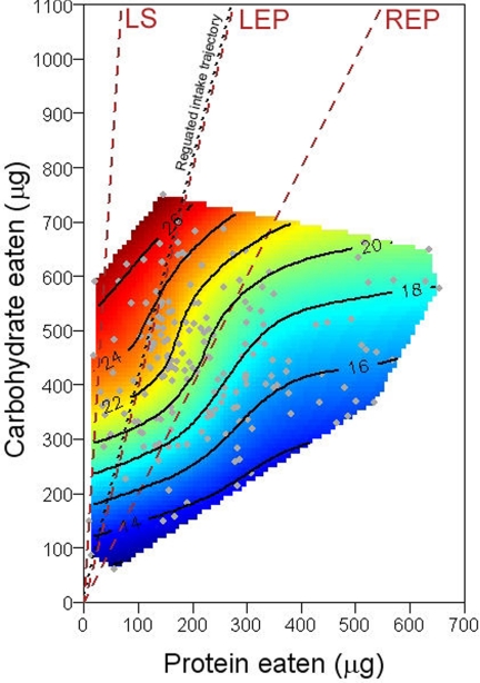 Fig. 4.